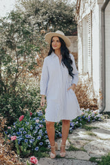 Spring Pin Stripe Boyfriend Dress