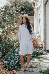 Spring Pin Stripe Boyfriend Dress